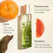 CAUDALIE FLEUR DE VIGNE EAU FRAICHE 50 ML